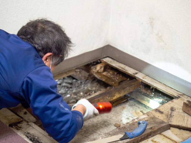 Best Bathroom Mold Remediation in Hartshorne, OK