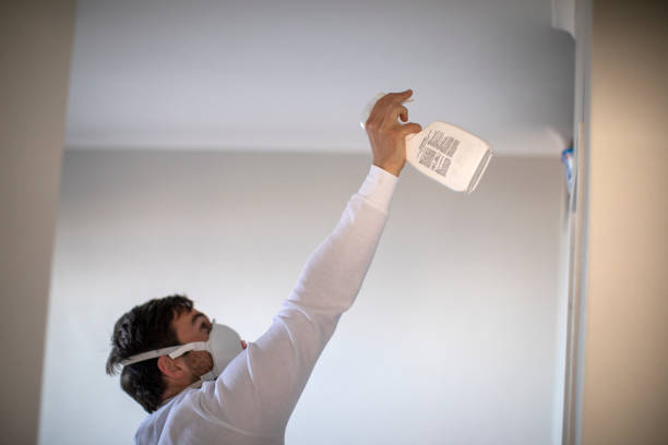 Best Emergency Mold Remediation in Hartshorne, OK