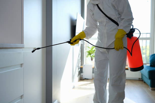 Best Localized Mold Remediation (e.g., coastal areas, humid climates) in Hartshorne, OK